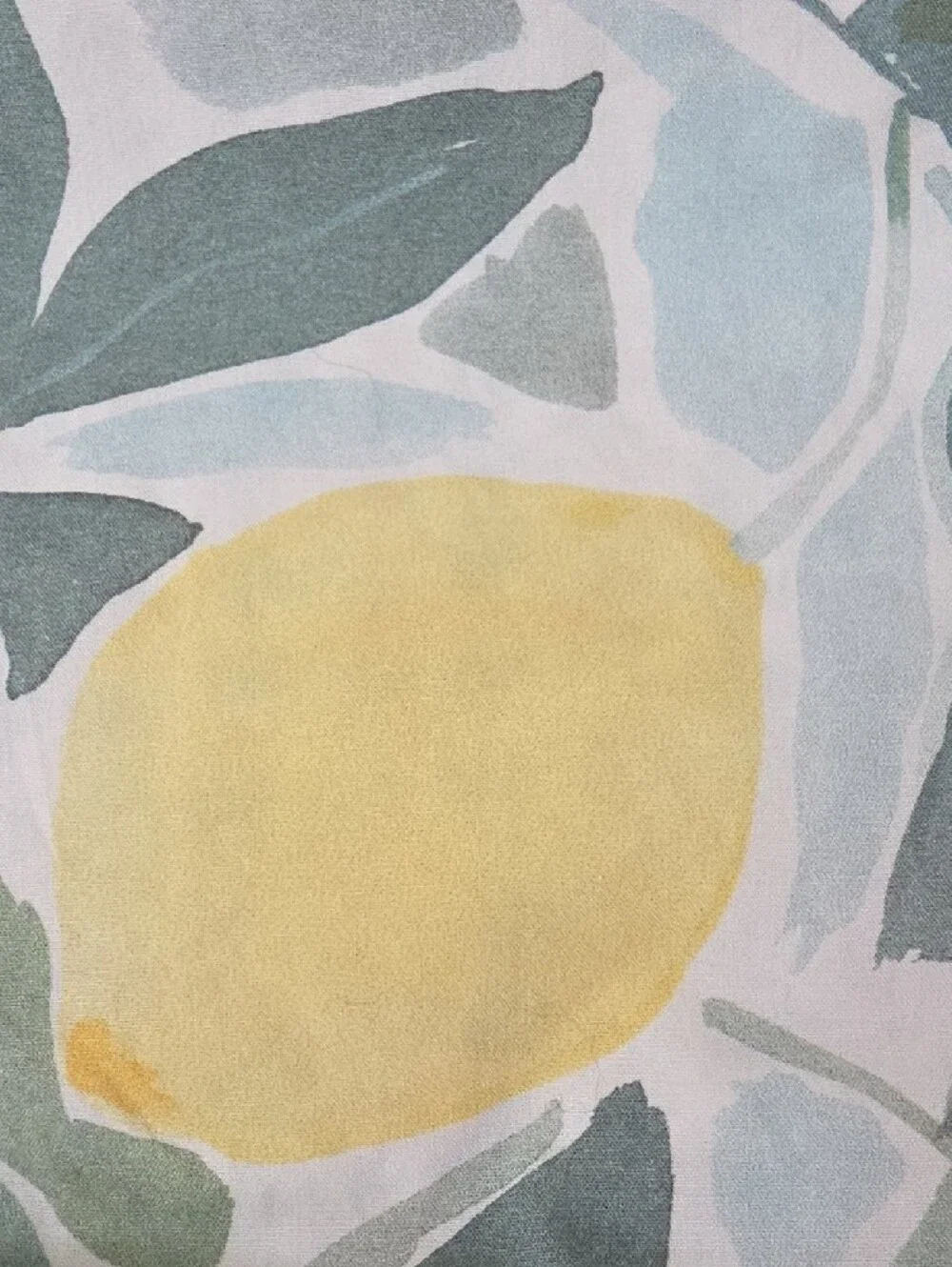Pottery Barn Rebecca Atwood Lemon & Leaf Organic Cotton King Duvet Cover